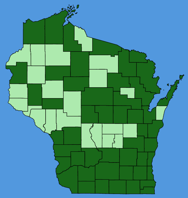 map-wis-Berberis-thunbergii.JPG