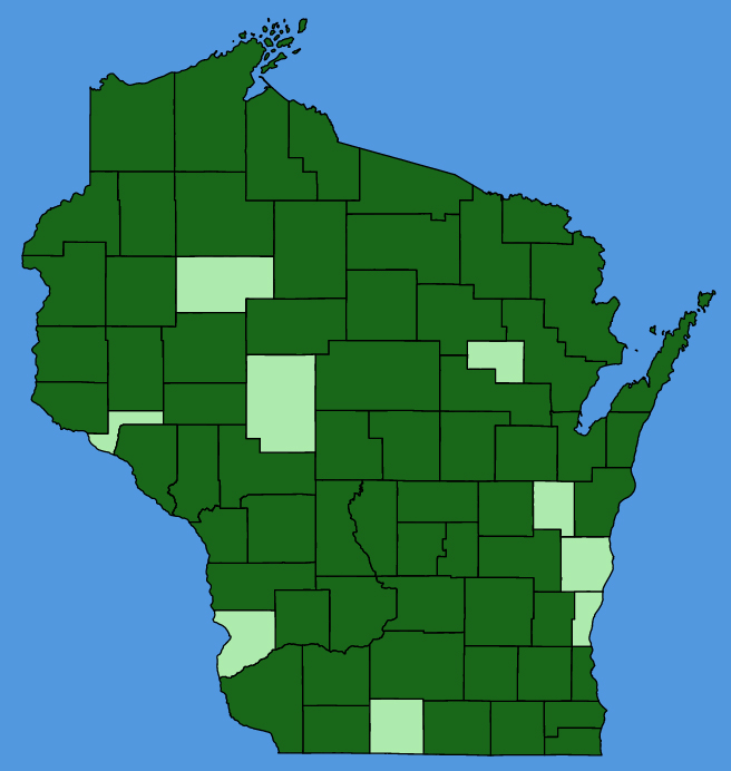 map-wis-Bidens-connata.JPG