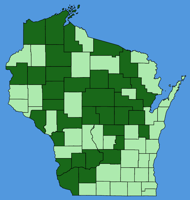 map-wis-Bidens-discoidea.JPG