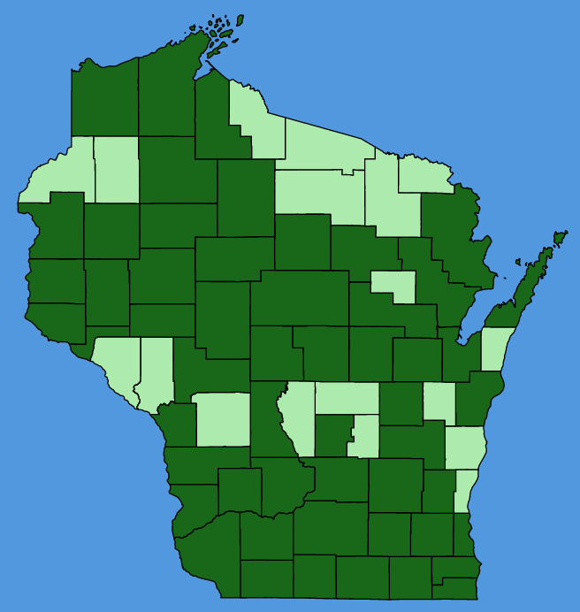 map-wis-Bidens-vulgata.JPG