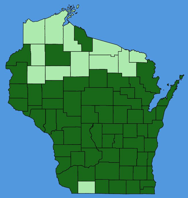map-wis-Boehmeria-cylindrica.JPG