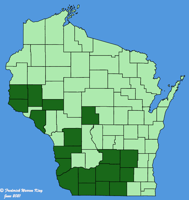 map-wis-Borodinia-dentata.JPG