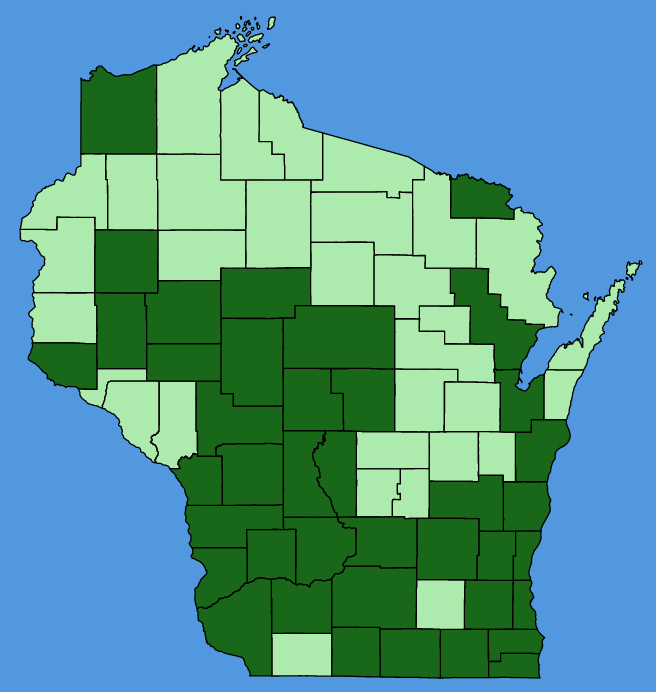 map-wis-Borodinia-laevigata.JPG