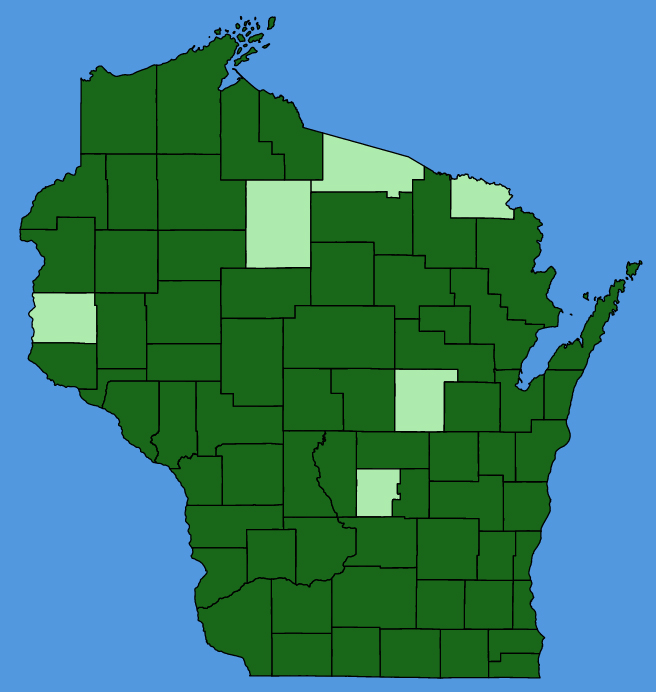 map-wis-Calystegia-sepium.JPG