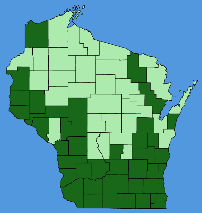 map-wis-Campanulastrum-americanum.JPG