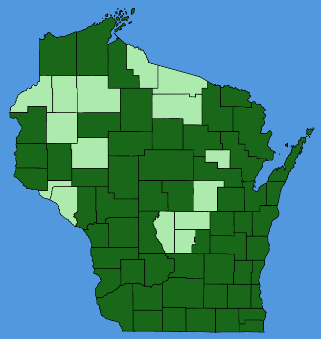 map-wis-Cardamine-concatenata.JPG
