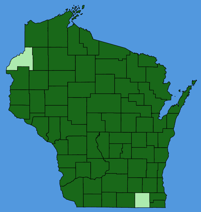map-wis-Cardamine-pensylvanica.JPG