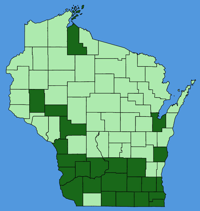 map-wis-Catalpa-speciosa.JPG