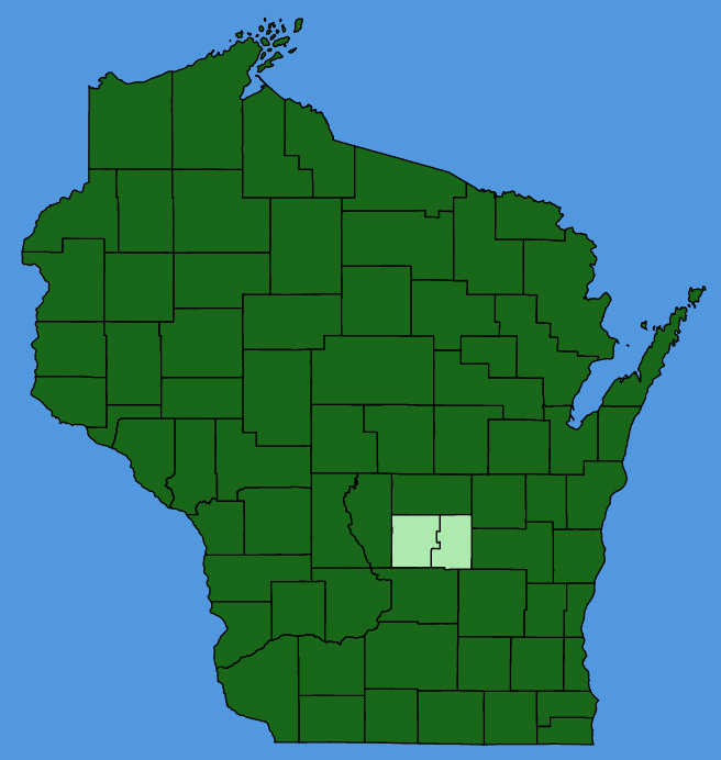 map-wis-Caulophyllum-thalictroides.JPG