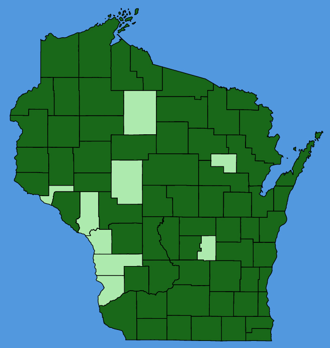 map-wis-Centaurea-stoebe.JPG