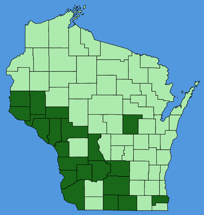 map-wis-Chamaecrista-fasciculata.JPG