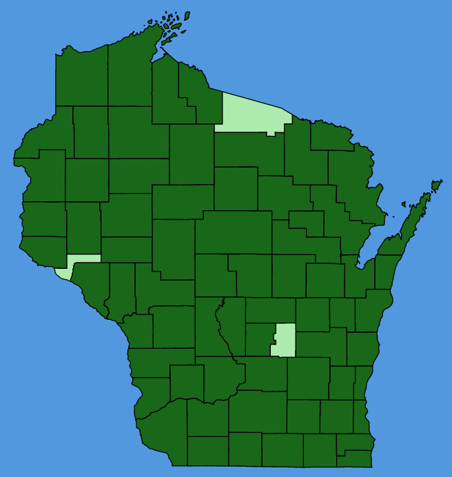 map-wis-Cicuta-maculata.JPG