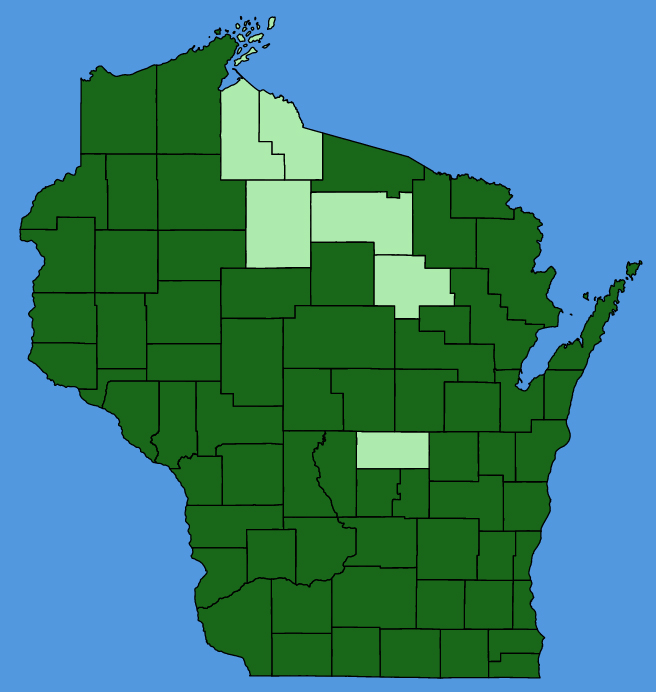 map-wis-Circaea-canadensis.JPG