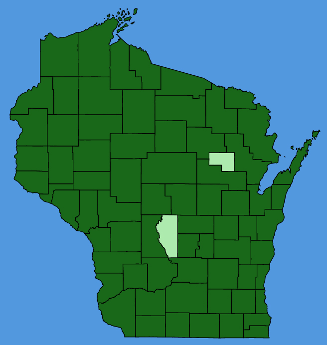 map-wis-Cirsium-arvense.JPG