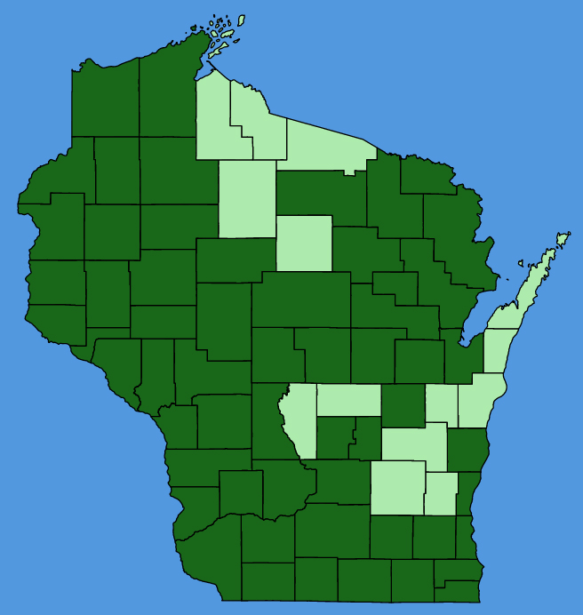 map-wis-Cirsium-discolor.JPG