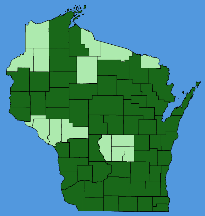 map-wis-Claytonia-virginica.JPG