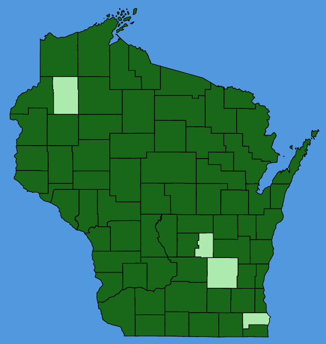map-wis-Clematis-virginiana.JPG