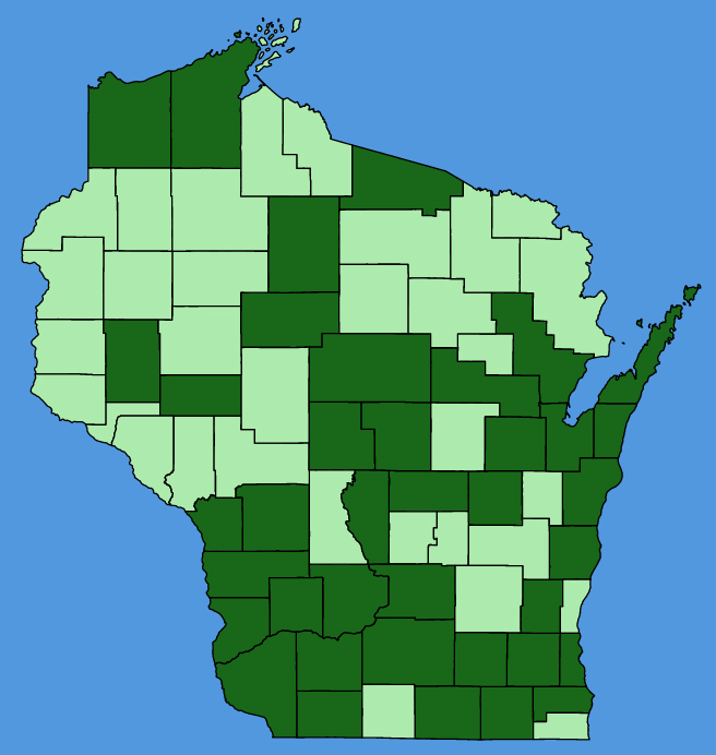 map-wis-Convallaria-majalis.JPG