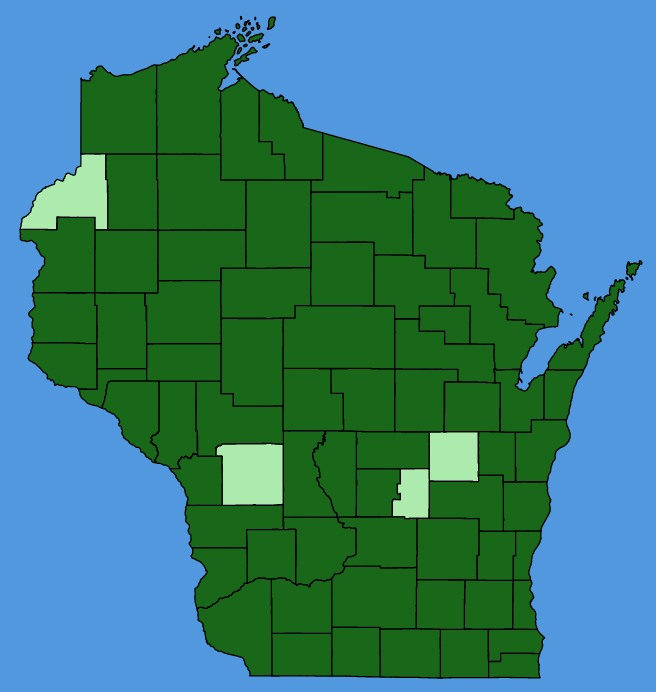 map-wis-Cornus-alternifolia.JPG