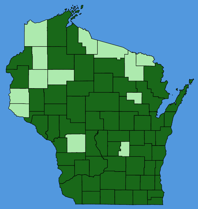 map-wis-Cornus-amomum.JPG
