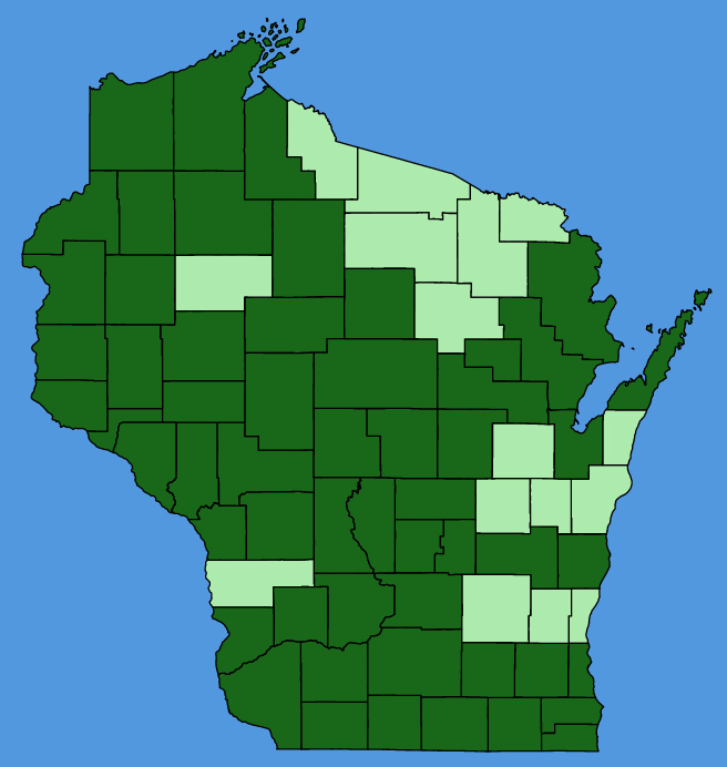 map-wis-Crocanthemum-bicknellii.JPG