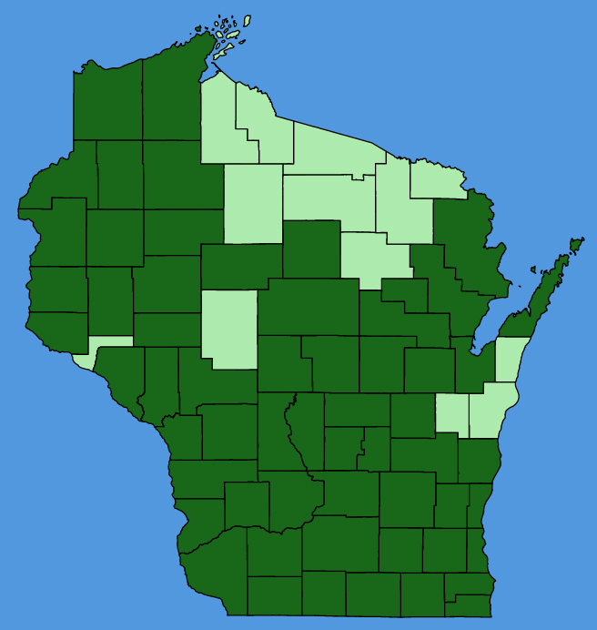 map-wis-Desmodium-canadense.JPG