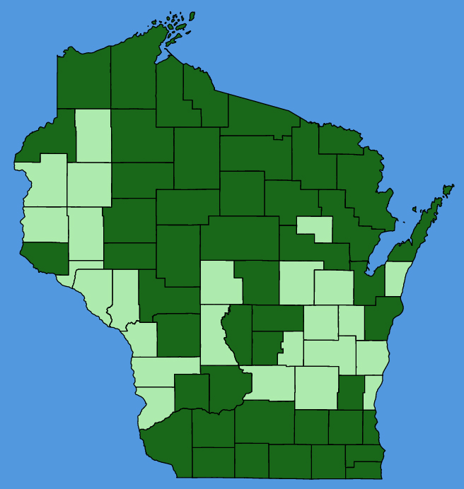 map-wis-Dianthus-armeria.JPG