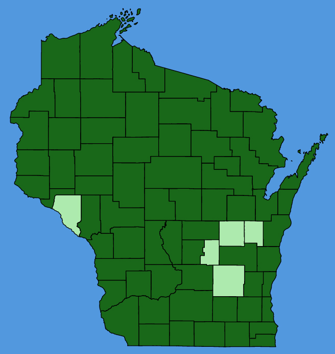 map-wis-Diervilla-lonicera.JPG