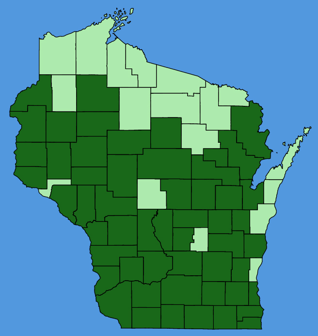 map-wis-Dioscorea-villosa.JPG
