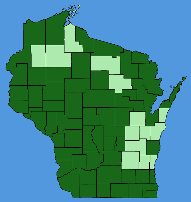 map-wis-Drymocallis-arguta.JPG