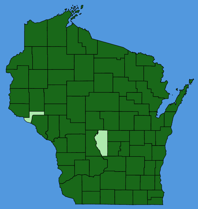 map-wis-Elymus-hystrix.JPG