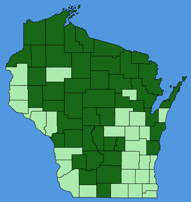 map-wis-Epigaea-repens.JPG