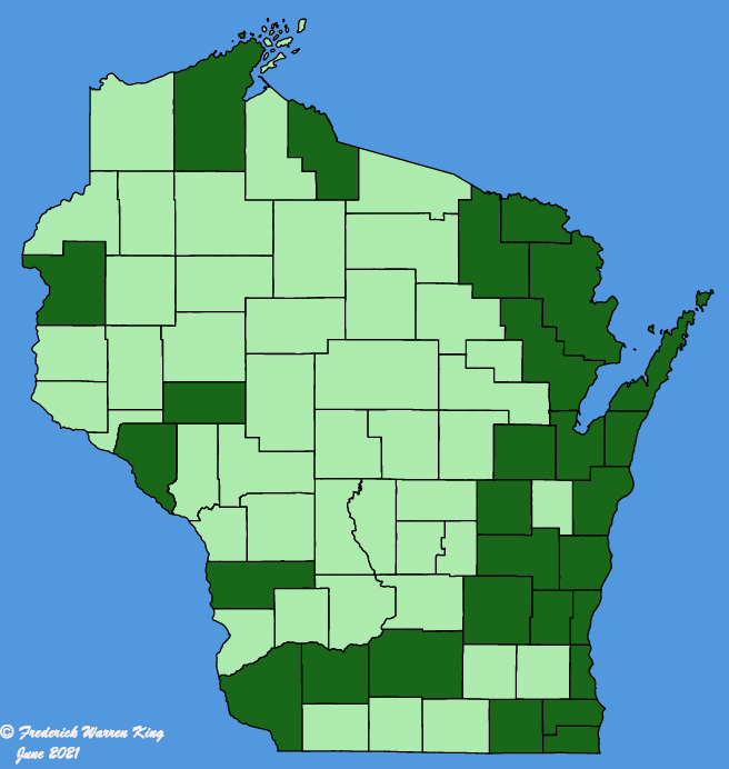 map-wis-Epipactis-helleborine.JPG