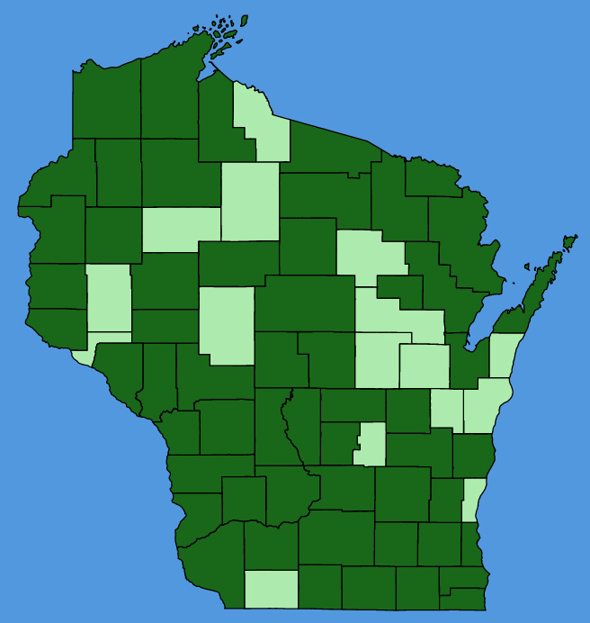 map-wis-Erechtites-hieraciifolius.JPG
