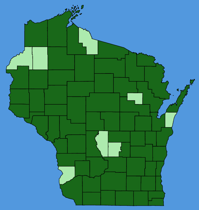 map-wis-Erysimum-cheiranthoides.JPG