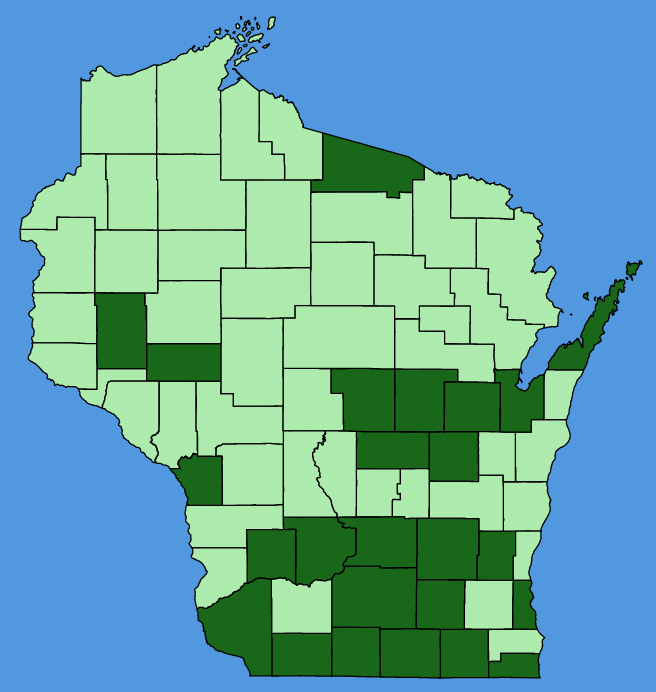 map-wis-Euonymus-alatus.JPG