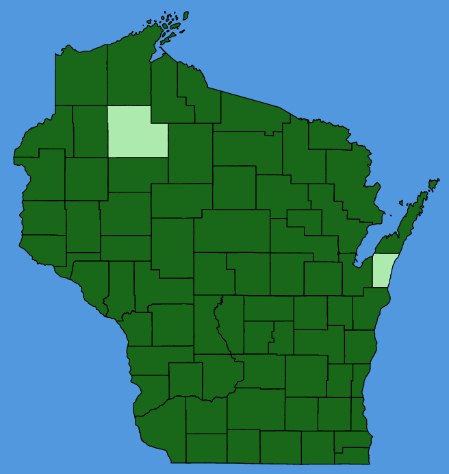 map-wis-Euphorbia-maculata.JPG