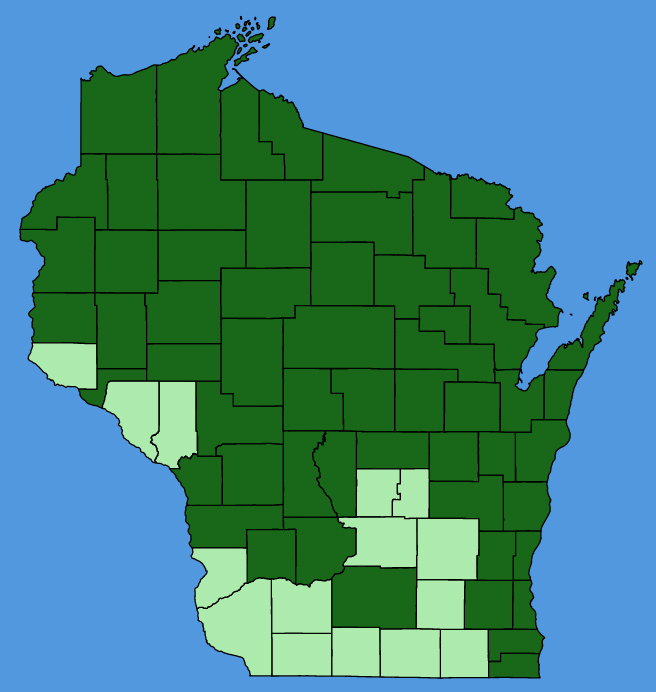 map-wis-Eurybia-macrophylla.JPG