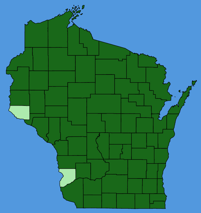 map-wis-Euthamia-graminifolia.JPG