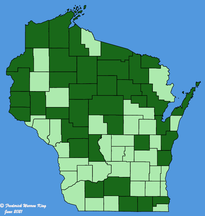 map-wis-Galeopsis-bifida.JPG