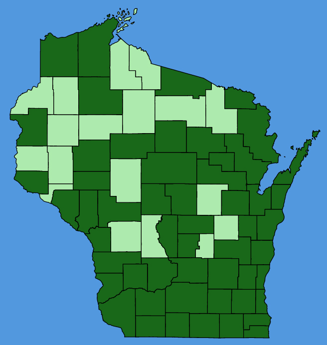 map-wis-Galinsoga-quadriradiata.JPG