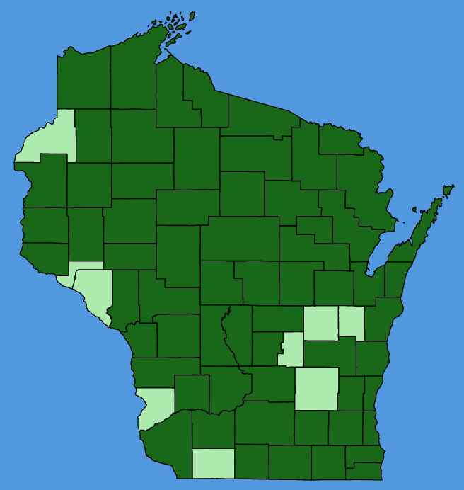 map-wis-Galium-asprellum.JPG