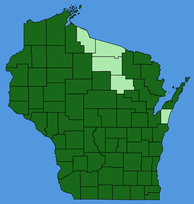 map-wis-Galium-boreale.JPG