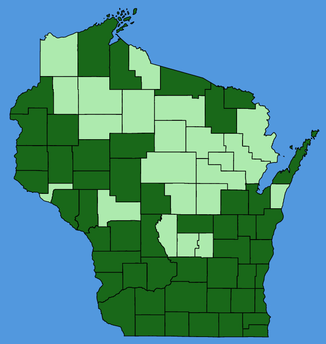 map-wis-Galium-concinnum.JPG