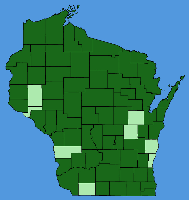 map-wis-Galium-tinctorium.JPG