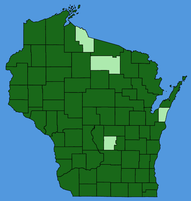 map-wis-Geum-canadense.JPG