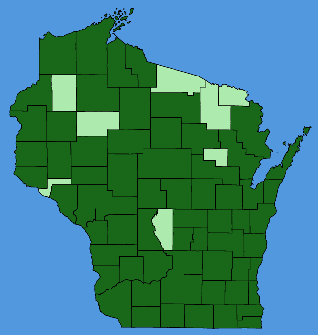 map-wis-Glechoma-hederacea.JPG
