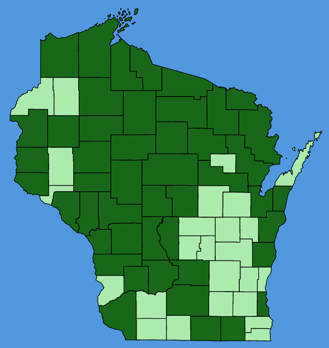 map-wis-Gnaphalium-uliginosum.JPG