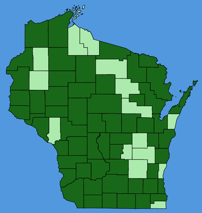 map-wis-Goodyera-pubescens.JPG