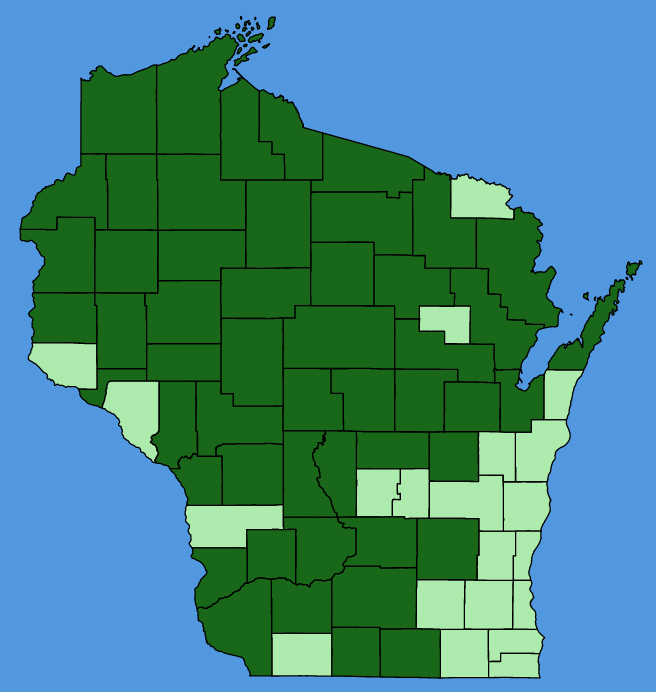 map-wis-Gratiola-neglecta.JPG